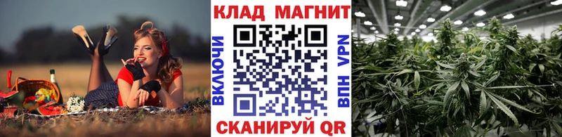 Купить закладку Cocaine МЕТАМФЕТАМИН МЕФ ГАШИШ Канабис АМФ Ветлуга