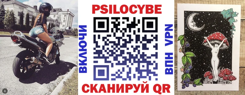 Купить где  Ветлуга  Галлюциногенные грибы мицелий 