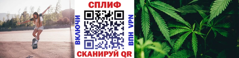 МАРИХУАНА SATIVA & INDICA  Купить закладки  Ветлуга 